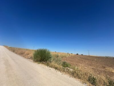 Parcela en venta en Don Benito